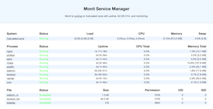 Monit dashboard